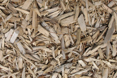 biomass boilers Taston